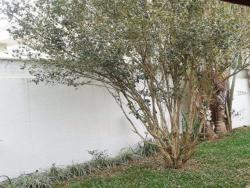 Casa para Venda em Carapicuíba - 3
