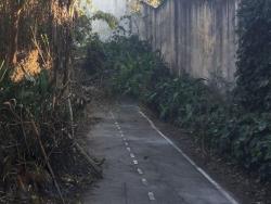 Terreno para Venda em Cotia - 3