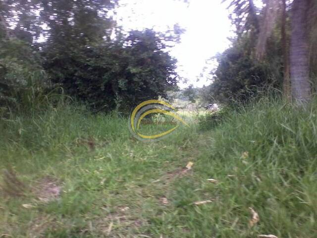 Terreno para Venda em Cotia - 3