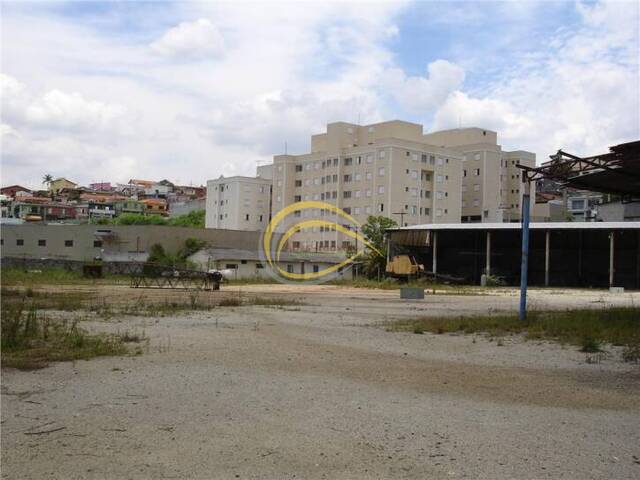 Área para Venda em Cotia - 5