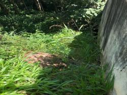 Terreno para Venda em Carapicuíba - 5