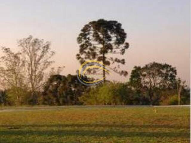 Terreno para Venda em Cotia - 4