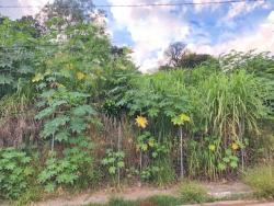 Terreno para Venda em Cotia - 2