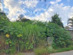 Terreno para Venda em Cotia - 3