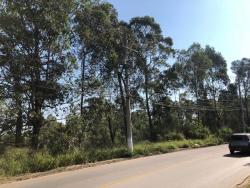 Terreno para Venda em Cotia - 5