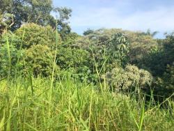 Terreno para Venda em Carapicuíba - 2