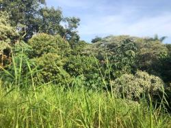 Terreno para Venda em Carapicuíba - 3