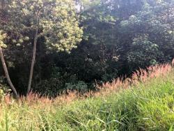 Terreno para Venda em Carapicuíba - 5