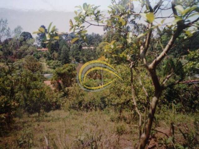 Terreno para Venda em Cotia - 3