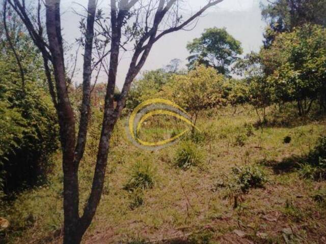 Terreno para Venda em Cotia - 2