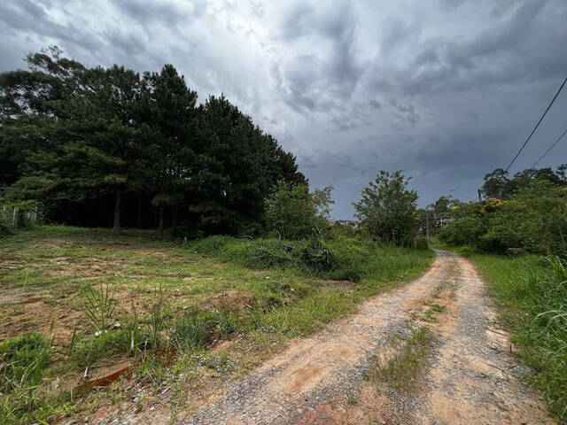 #TE0599 - Terreno para Venda em Carapicuíba - SP - 3