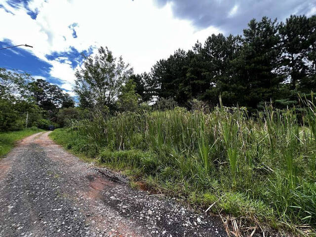 Terreno para Venda em Carapicuíba - 4