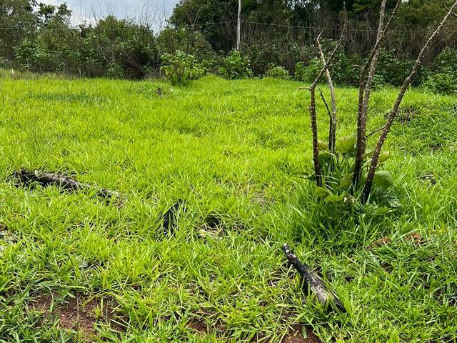 Área para Venda em Cotia - 2