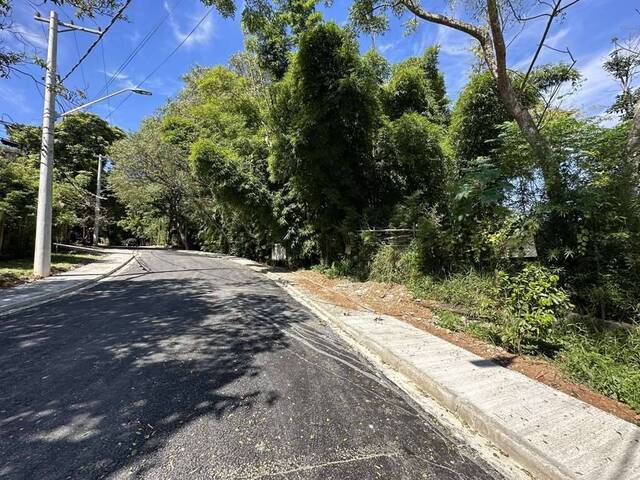 #TE0598 - Terreno para Venda em Granja Viana - SP - 3