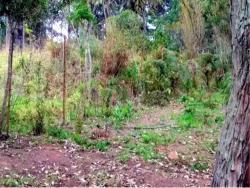 #AR0022 - Área para Venda em São Roque - SP - 2