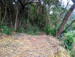 #AR0022 - Área para Venda em São Roque - SP - 3