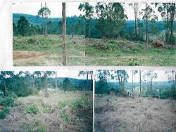 #TE0573 - Terreno para Venda em Embu das Artes - SP - 3