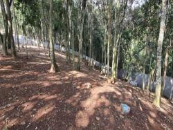 Terreno para Venda em Cotia - 4