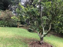 Terreno para Venda em Cotia - 4