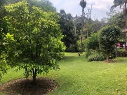 Terreno para Venda em Cotia - 5