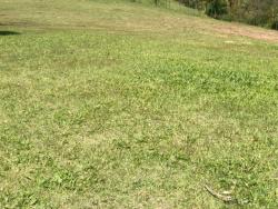 Terreno para Venda em Cotia - 5