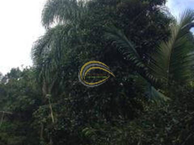 Terreno para Venda em Cotia - 5