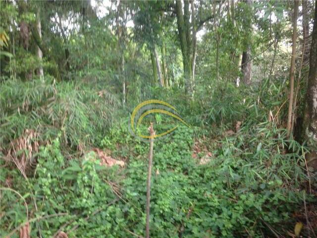 Terreno para Venda em Cotia - 3