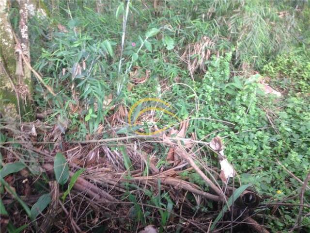 Terreno para Venda em Cotia - 4