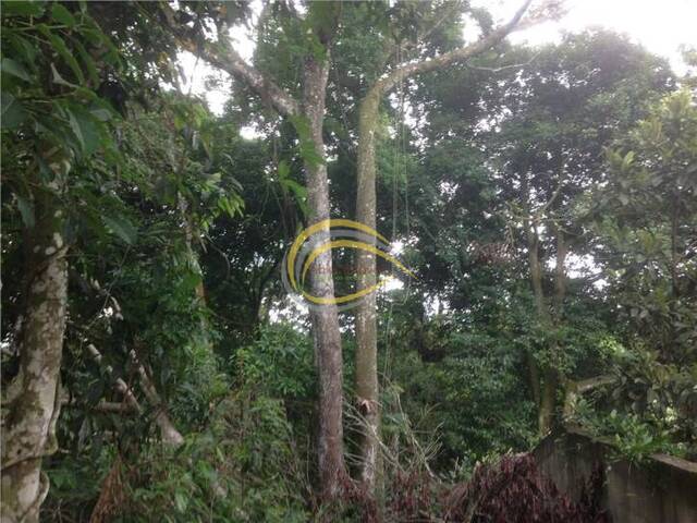 Terreno para Venda em Cotia - 5