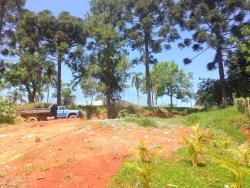Terreno para Venda em Cotia - 2